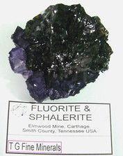 FLUORITE ON SPHALERITE, Elmwood Mine, Carthage, Tennessee USA