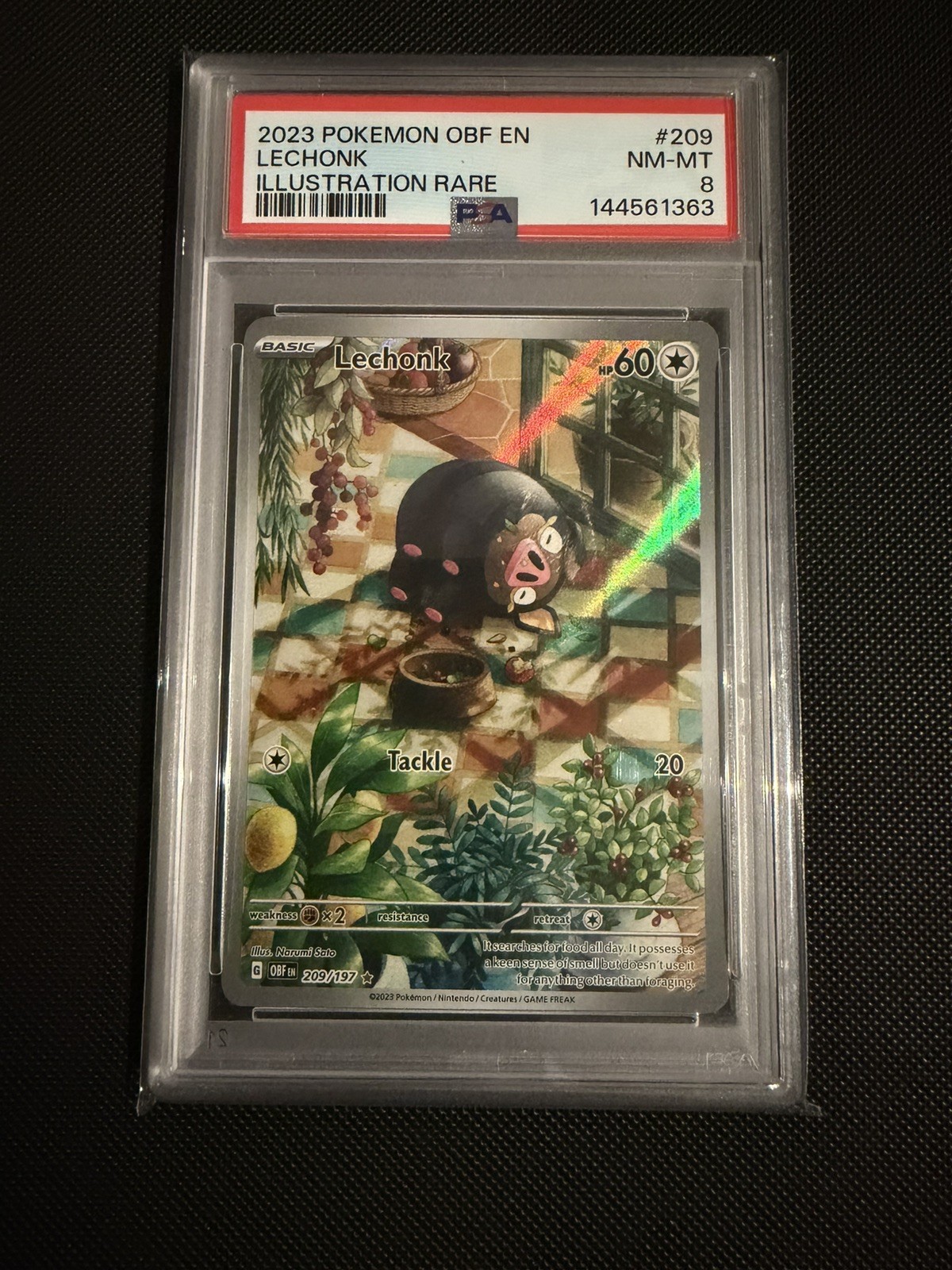 Lechonk 2023 Scarlet & Violet: Obsidian Flames #209/197 Illustration Rare  Price Guide - Sports Card Investor