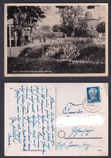 Ansichtskarte Erfurt Rittersporn Anlage auf der Cyriaksburg Gartenbauausstellung