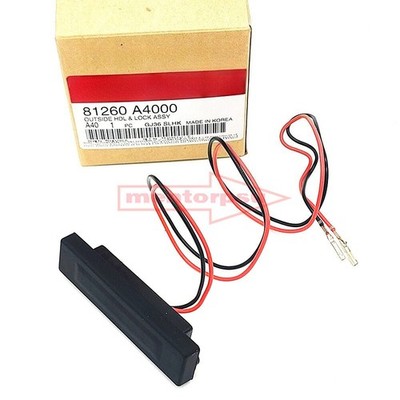 NEW Outside Lift Gate Handle For Kia Sedona Rondo Carens 2014-2021