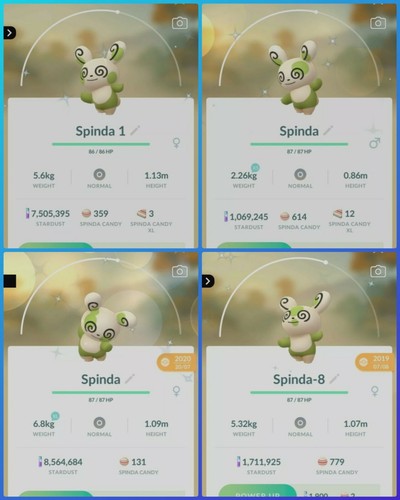 Pokemon Shiny Spinda ( 1, 2, 3, 4, 5, 6, 7, 8, 9 ) Go - Bild 1 von 8
