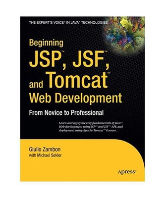 Beginning Jsp, Jsf and Tomcat Web Development: From Novice to Professional, Giul