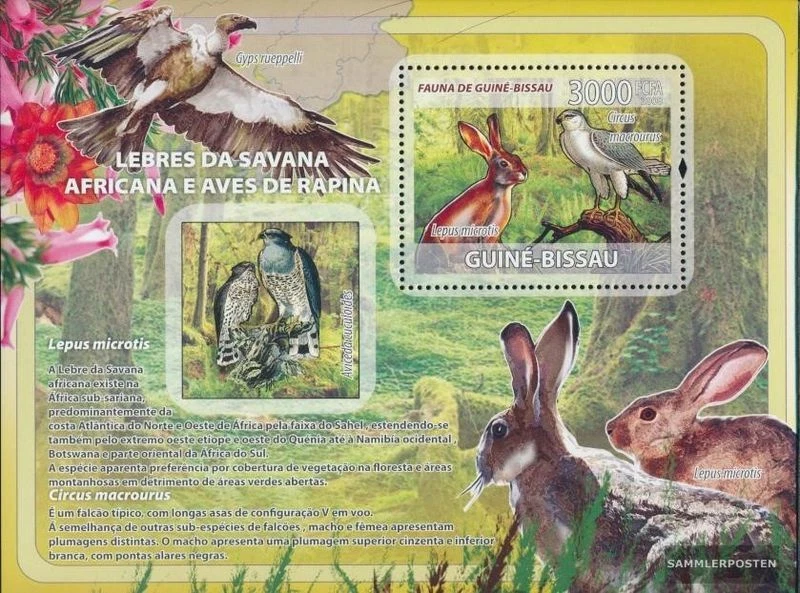 Guinée-bissau bloc-feuillet 646 neuf avec gomme originale 2008 Savannah-lapin, r - Photo 1/1