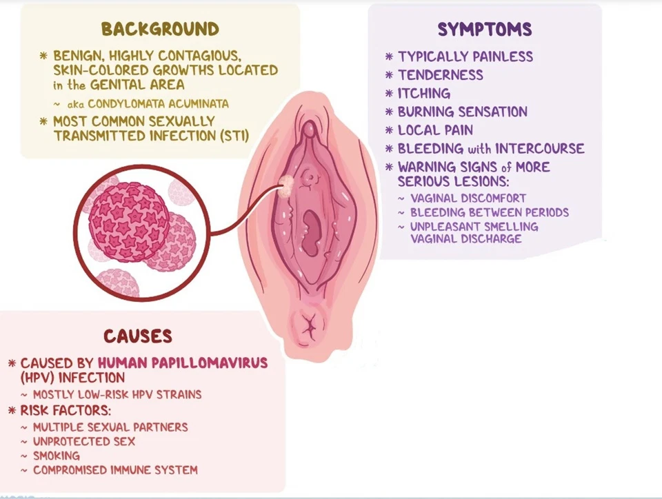 HIERBAS NATURALES PARA EL PAPILOMA MUJERES Y HOMBRES VIRUS DEL VPH - 120 CÁPSULAS - HECHO EN EE. UU. Foto 2 de 4