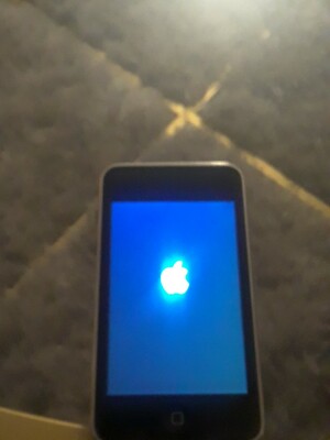 Apple iPod Touch (2nd Generation) Player - Black