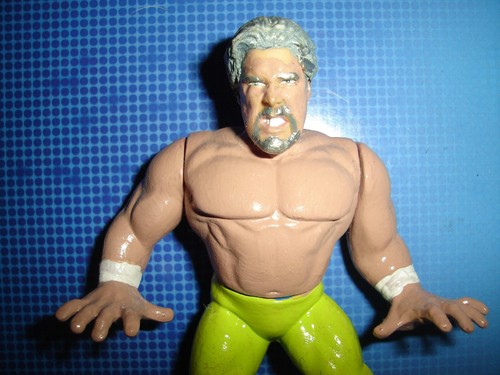 OZ FIGURE HASBRO CUSTOM KEVIN NASH DIESEL WWE LOT WWF WCW TNA NWO WRESTLING RARE - Picture 2 of 3