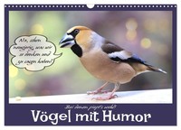 "Calendar 2027 · US Version · Birds With Humor (Wall Calendar 2027 17\" × 12\" Land"