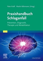Praxishandbuch Schlaganfall | Peter Kraft (U. A.) | Deutsch | Taschenbuch | XIV