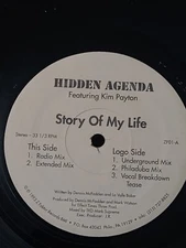 Hidden Agenda Story Of My Life Vinyl Record 1993