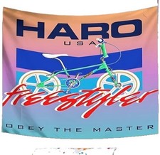 eBay Auction Picture