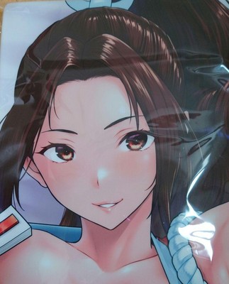 m18 Shiranui Mai Pigeon Hut Kemigawa Dakimakura Cover KOF Fatal Fury