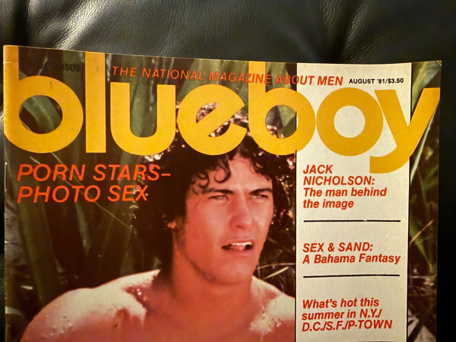 Blue Magazine 8/81 vintage gay interest male pinups
