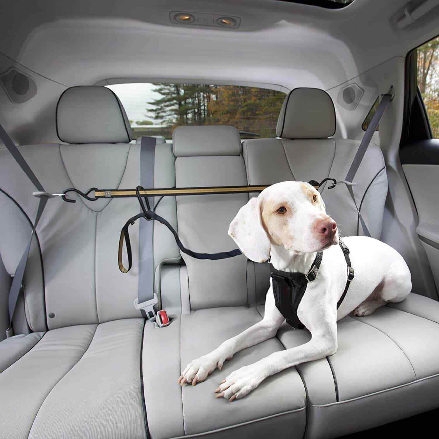 Kurgo Auto Zip Line Car Safety Tether Lead Travel Seat Belt Clip for Dog Harness