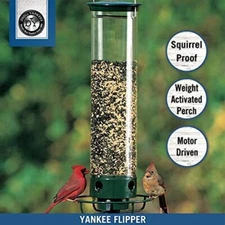 Droll Yankees Flipper Squirrel Proof Bird Feeder