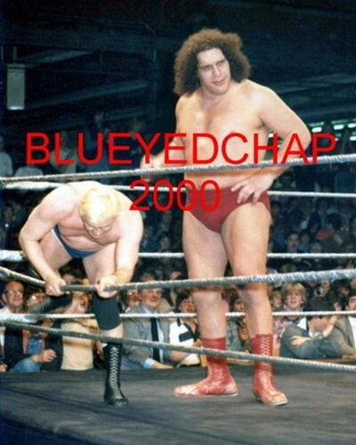 ANDRE THE GIANT & PAT PATERSON WRESTLER 8 X 10 WRESTLING PHOTO NWA WWWF - Image 1 of 1