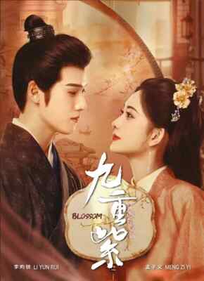 Blossom  - Chinese Drama *deluxe digipak packaging* DVD with English Subtitles