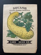 Antique 1910 Card Seed Co Seed Squash Yellow Summer Crookneck FOLK ART Mint