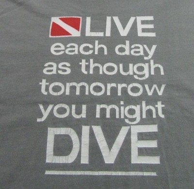 ARUBA Diver Down ''Live Each Day....As You May DIVE'' Gray SS T Shirt Size L