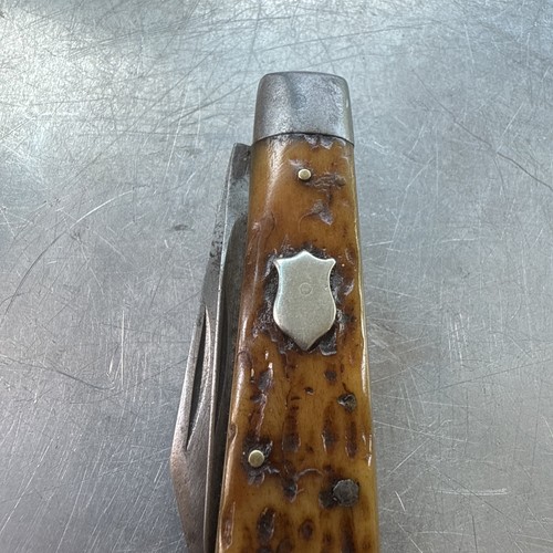 OLD Keen Kutter 72288 small 3 BONE Handle 2 Blade Jack Pocket Knife - Picture 3 of 14