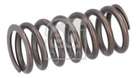 Febi Bilstein Ventilfeder 188166 FüR Acura Alfa Romeo Audi BMW Chevrolet (Sgm)