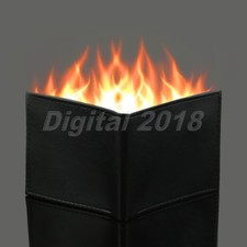 Synthetic PU Leather Flame Fire Wallet Closeup Stage Magician Trick Street Show