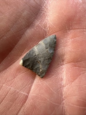Authentic Arrowhead 7/8  Madison Bird Point Greene Co.IL. Ex. D. Smith Q1179