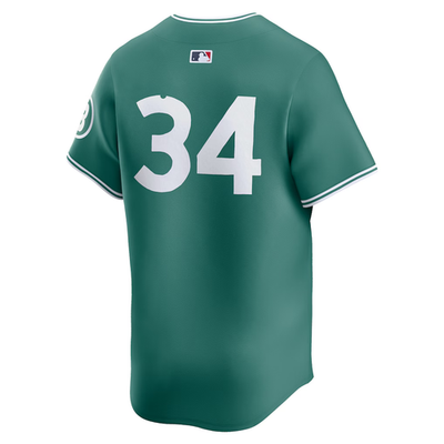 Nike David Ortiz City Connect Green Monster Red Sox Authentic