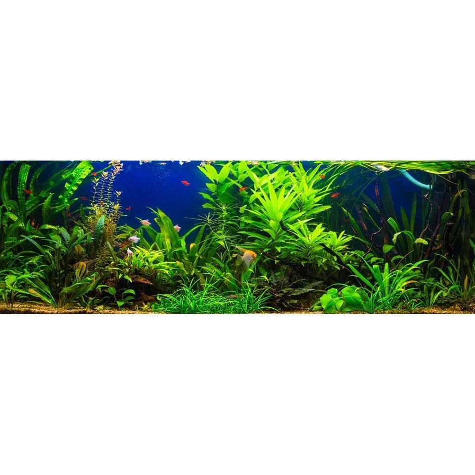 Sylvania Lampe Fluorescente T5 Tube Grolux 115 cm FHO 54 W G5 Aquarium Plantes - Photo 3/3