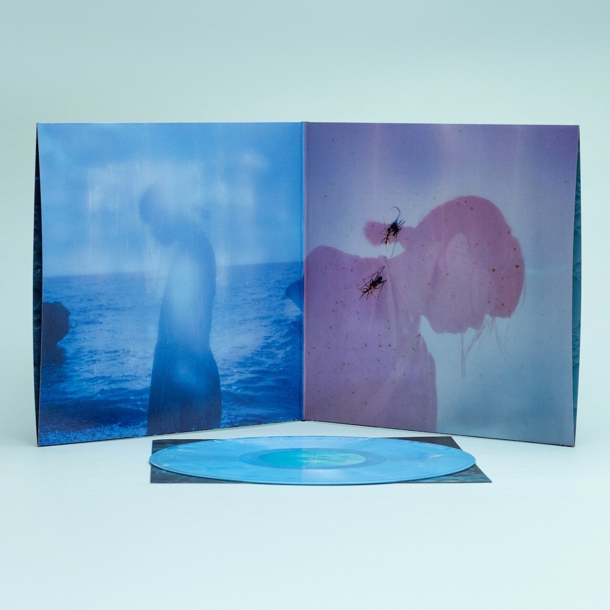 邦楽 Ichiko Aoba Luminescent Creatures LP Ichiko Aoba Luminescent Creatures LP 2025 Limited Edition Color