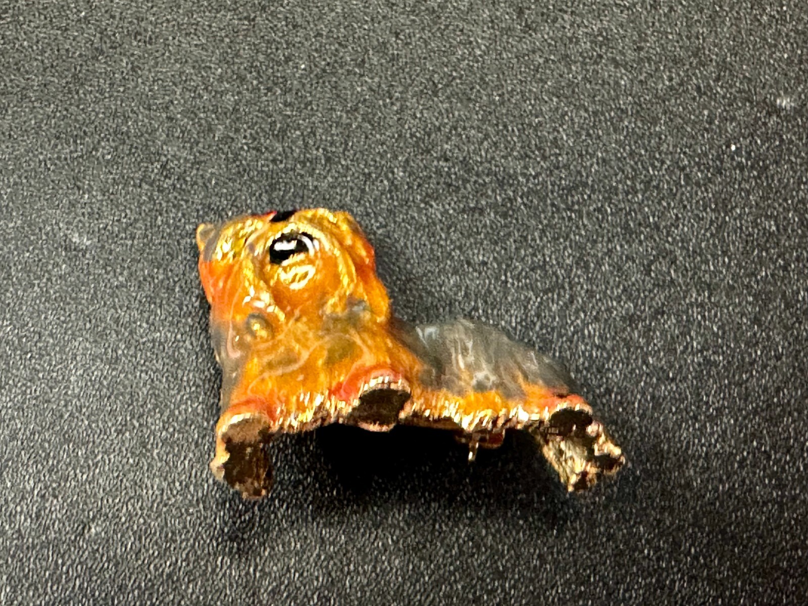 Picture 20 of 20