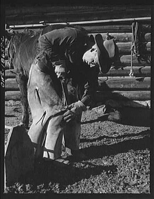 a second generation, Moreno Valley, New Mexico. William Heck, Colfax County