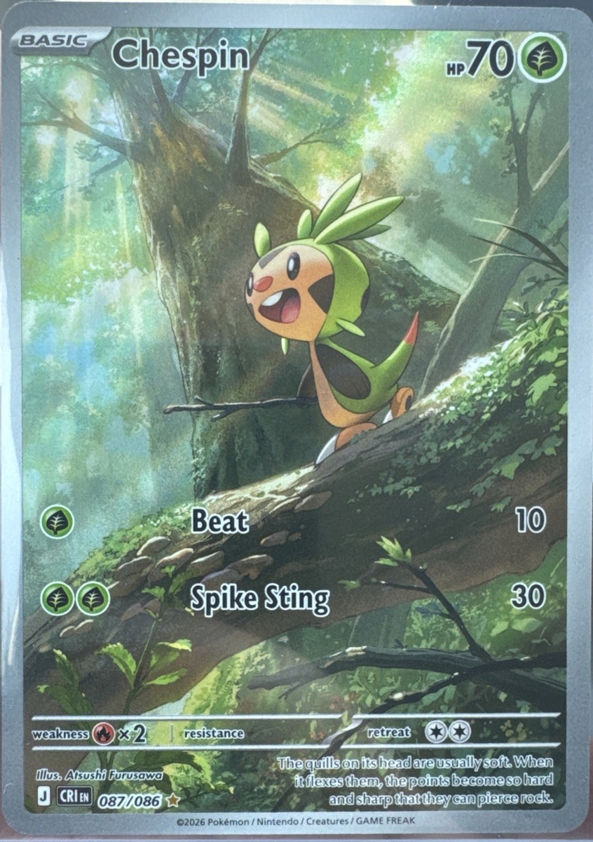 Chespin 087/086 - Illustration Rare - Pokémon TCG: Chaos Rising NM