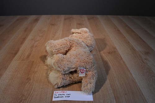Ty Classic Tan Dog Goldwyn 2009 Beanbag Plush(310-1756-1) - Picture 7 of 8