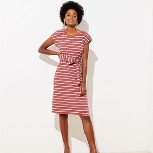 petite length dresses