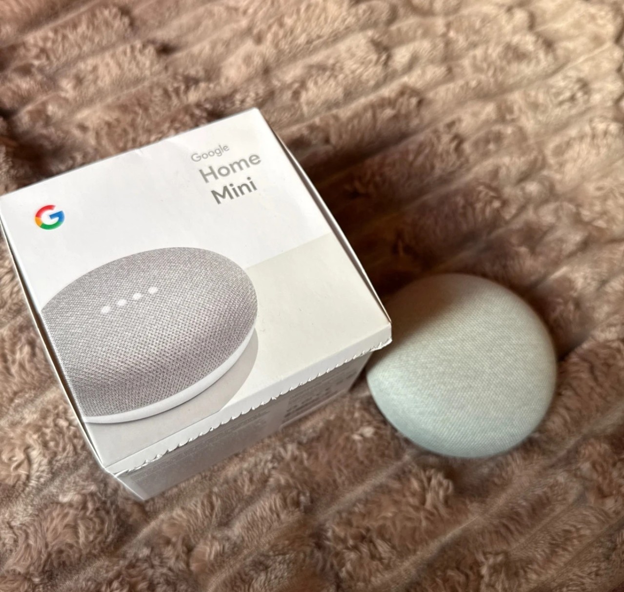 Google Home Mini Grigio Chiaro