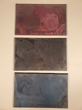 (3) Etching Engraved Metal Printing Machine Press Plate Stamp Darwin Mix Tulips