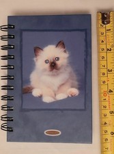Cat Notebook By Rachael Hale