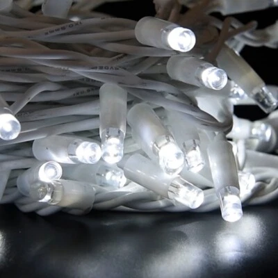 Catena luminosa Natale da esterno 10 mt 100 maxi led con FLASH luci natalizie