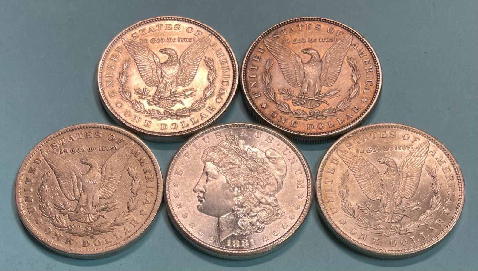 Picture 1 of 42