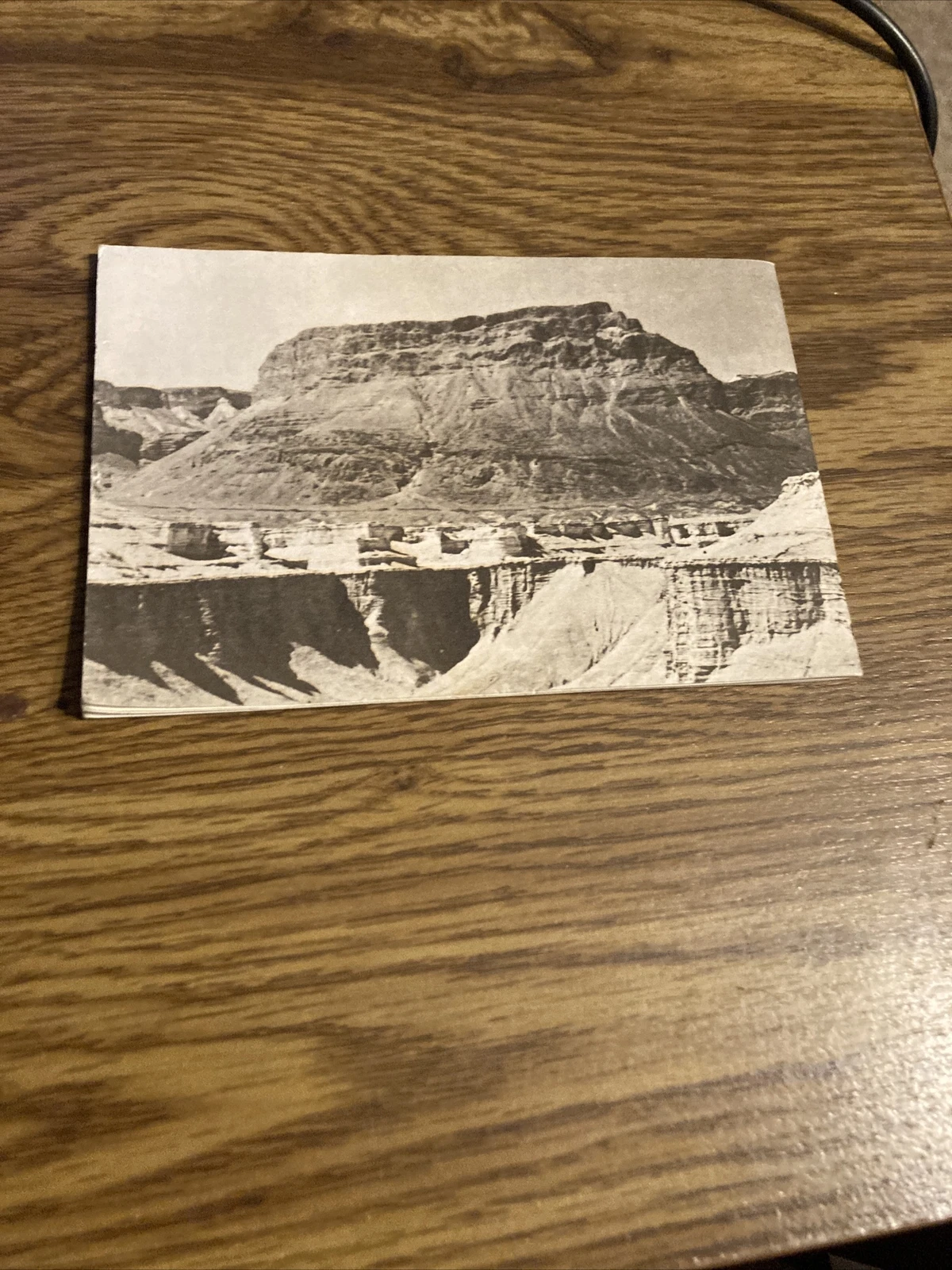 Picture 5 of 5