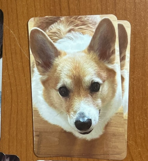 EXO BaekHyun TEOLAEGI トレギ BAEKHYUN Photocard EXO Official Fan Meeting 'TEOLAEGI'_Authentic