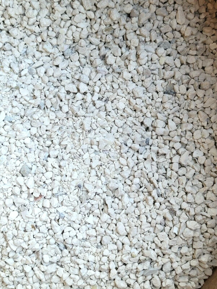 Oyster Shell Crushed Calcium Chickens Ducks Crabs Heat Treated Egg Supplement - Image 2 of 3