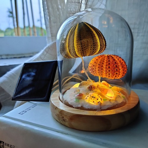 solar night light Solar Shell Lamp Sea Urchin Night Light Bedroom decoration - Picture 6 of 8