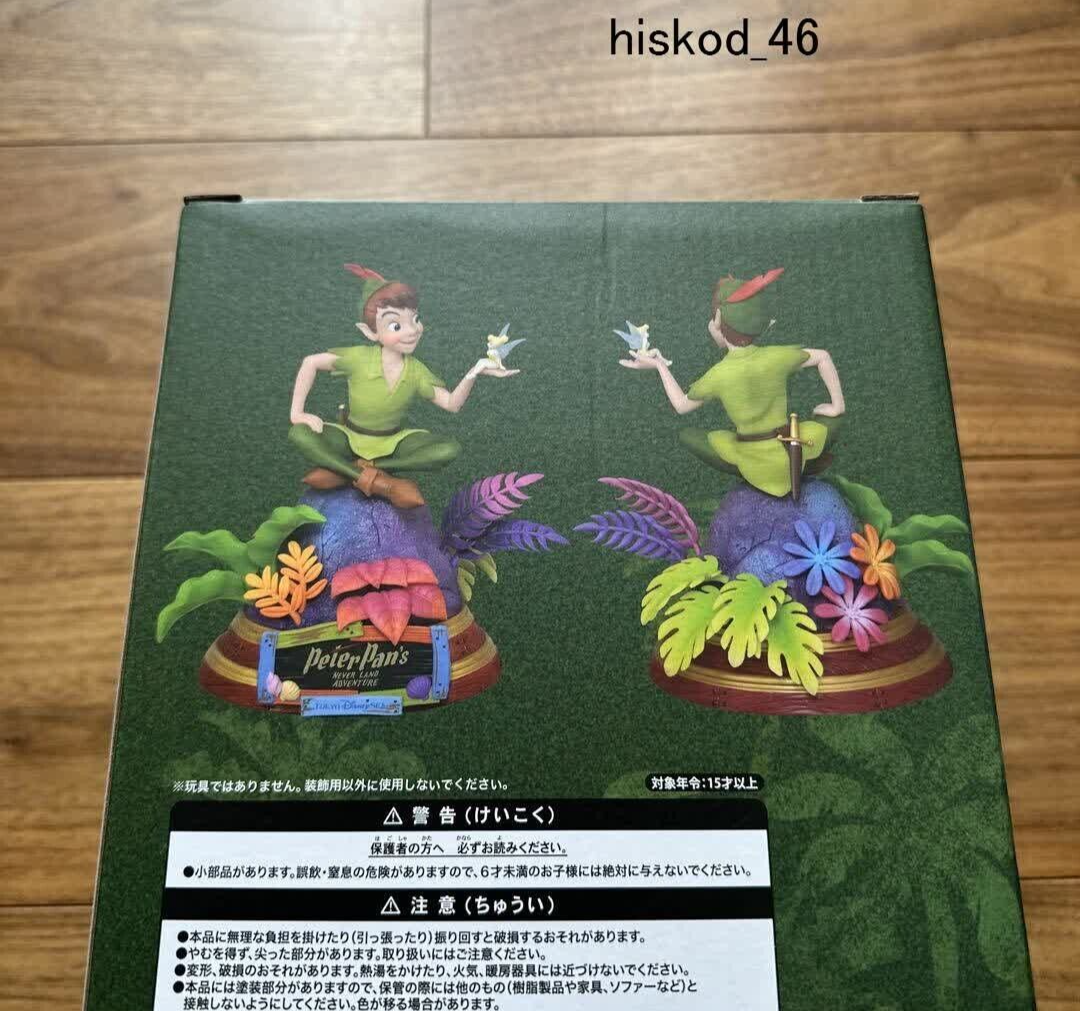 Tokyo Disney SEA Resort Peter Pan Figure Fantasy Springs neverland