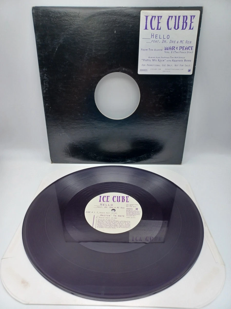 Ice Cube Rap & Hip-Hop Very Good (VG) Sleeve Vinyl Records for