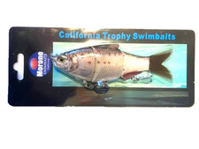 Morone Swimbaits 2 Shine Shad Pro Series  6" competition bass tour Lure