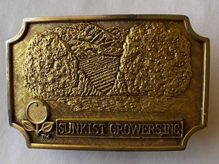 Vintage Sunkist Belt Buckle