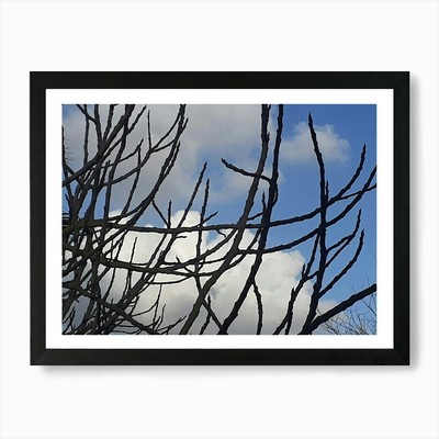 Baumzweige gegen blauen Himmel 1 gerahmtes Wandbild Poster Leinwanddruck Bild