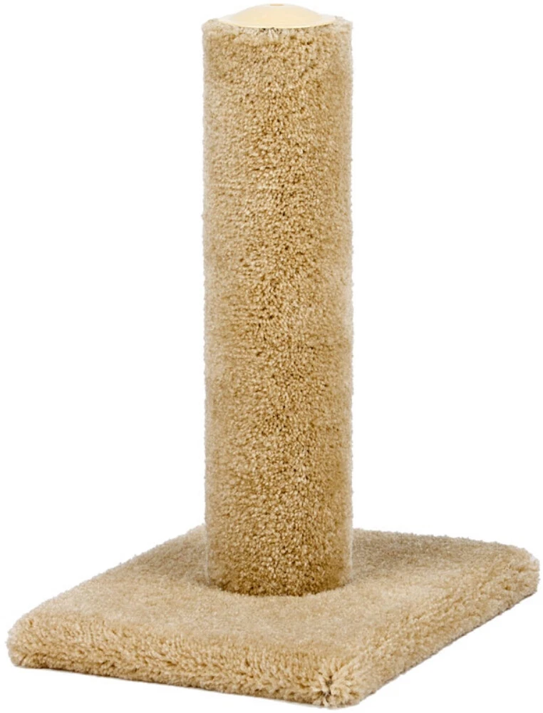 North American Urban Cat Cat Scratching Post Carpet 26