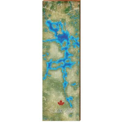 Kahshe Lake, Canada Satellite Map Wall Art